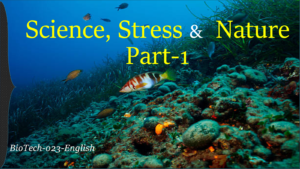 Science Behind Effect of Sea-life & Nature Videos on Stress